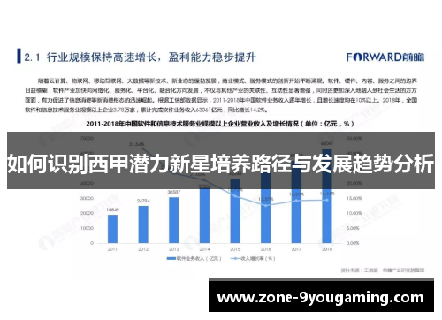 如何识别西甲潜力新星培养路径与发展趋势分析