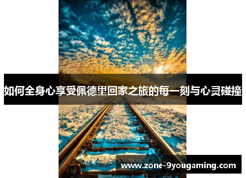 如何全身心享受佩德里回家之旅的每一刻与心灵碰撞