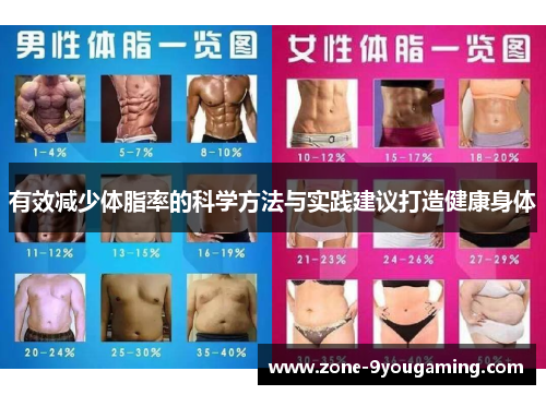 有效减少体脂率的科学方法与实践建议打造健康身体