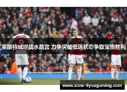 莱斯特城迎战水晶宫 力争突破低迷状态争取宝贵胜利