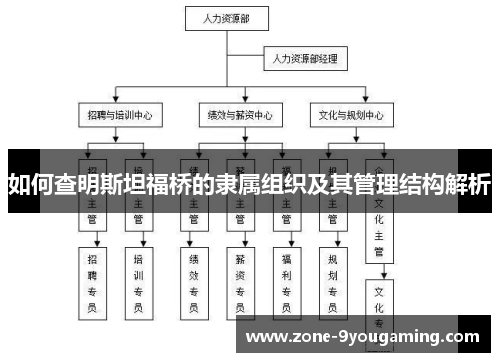如何查明斯坦福桥的隶属组织及其管理结构解析 如何查明斯坦福桥的隶属组织及其管理结构解析