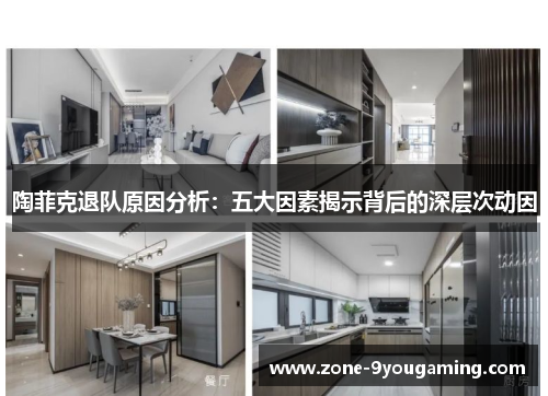 陶菲克退队原因分析:五大因素揭示背后的深层次动因 陶菲克退队原因分析:五大因素揭示背后的深层次动因