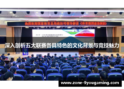 深入剖析五大联赛各具特色的文化背景与竞技魅力